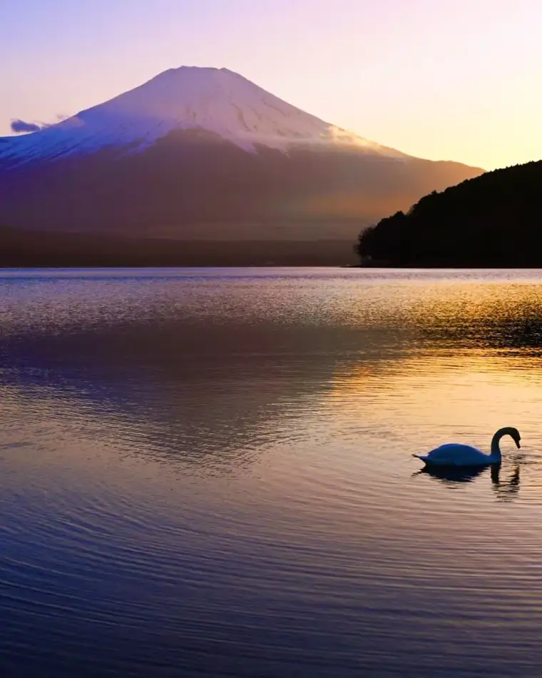 Swan… Lake… Yamanaka